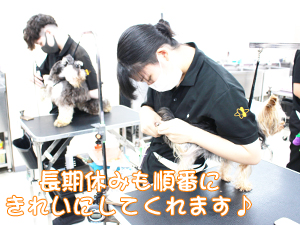 ☆１年生のトリミング☆